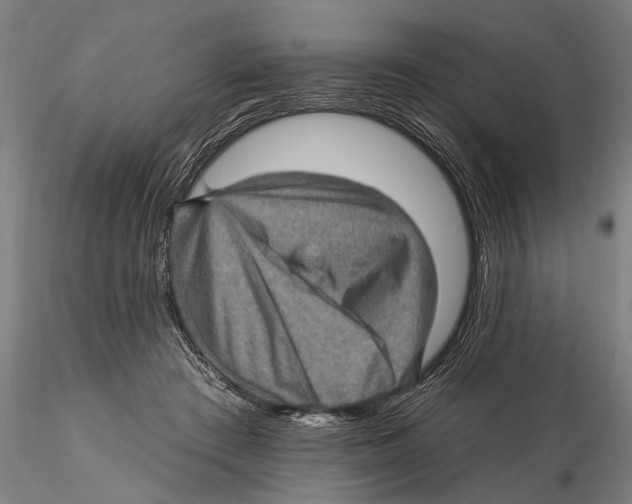 X0000115380409200912011210