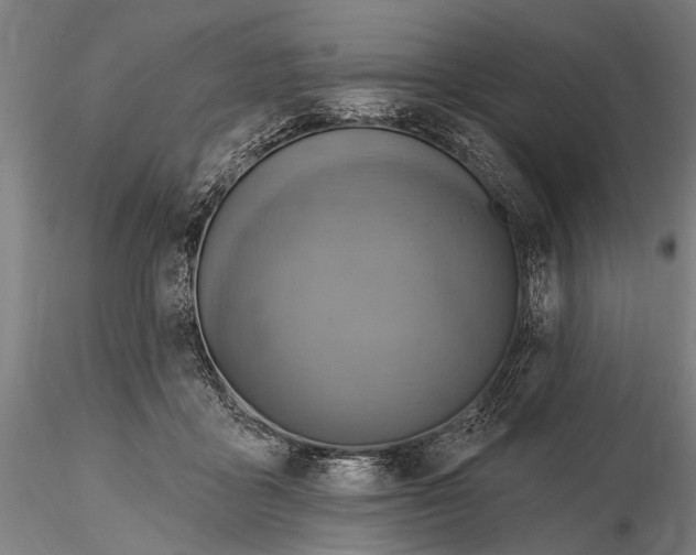 X0000115380411200912011210