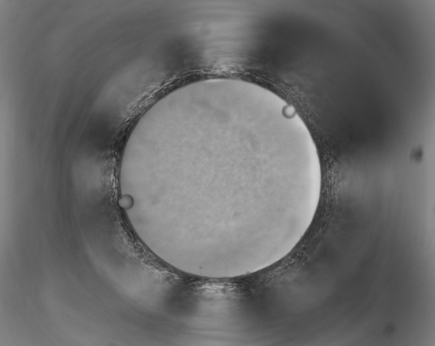 X0000115380415200912011210