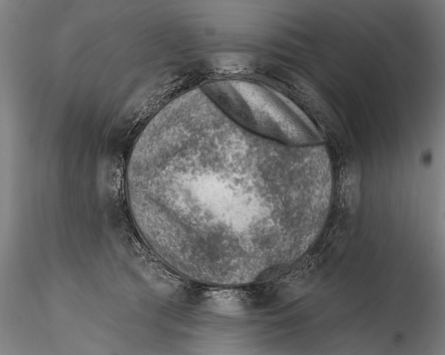 X0000115380417200912011210