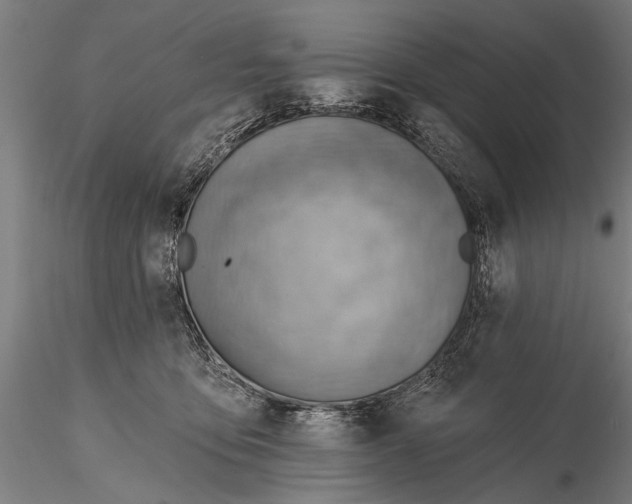 X0000115380419200912011210