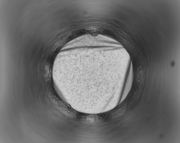 X0000115380420200912011210