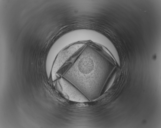 X0000115380421200912011210