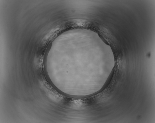 X0000115380423200912011210