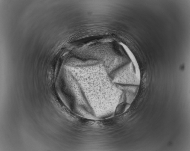 X0000115380424200912011210