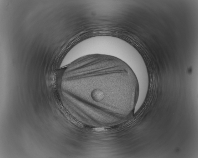 X0000115380425200912011210