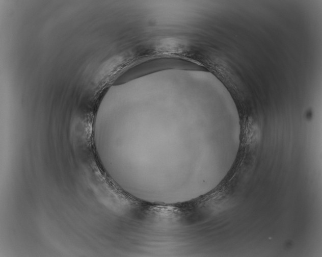 X0000115380427200912011210