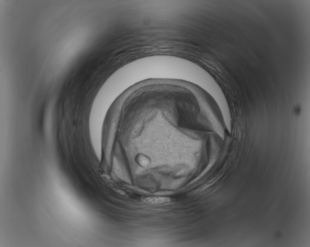 X0000115380429200912011210