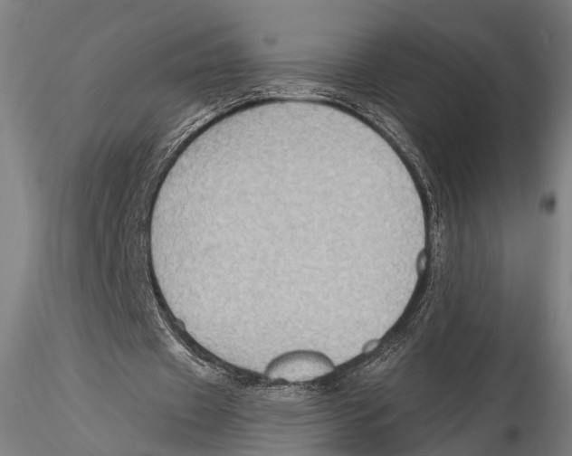 X0000115380433200912011209