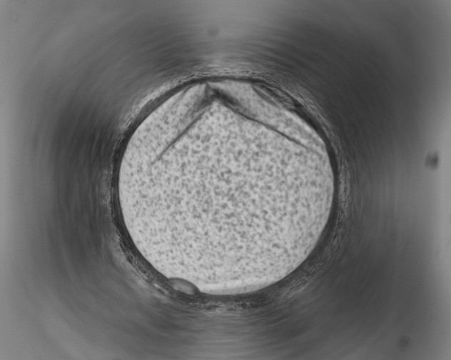 X0000115380434200912011209