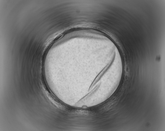 X0000115380437200912011209