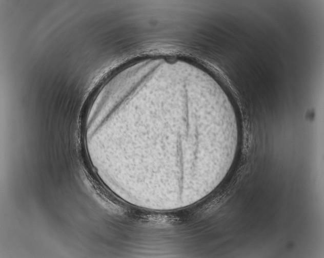 X0000115380439200912011209