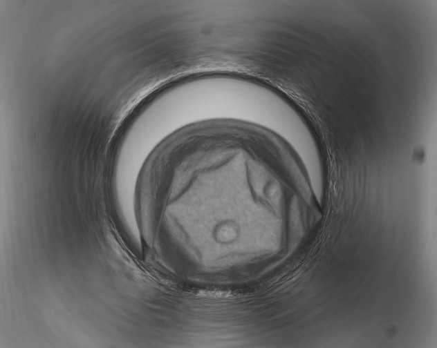 X0000115380440200912011209