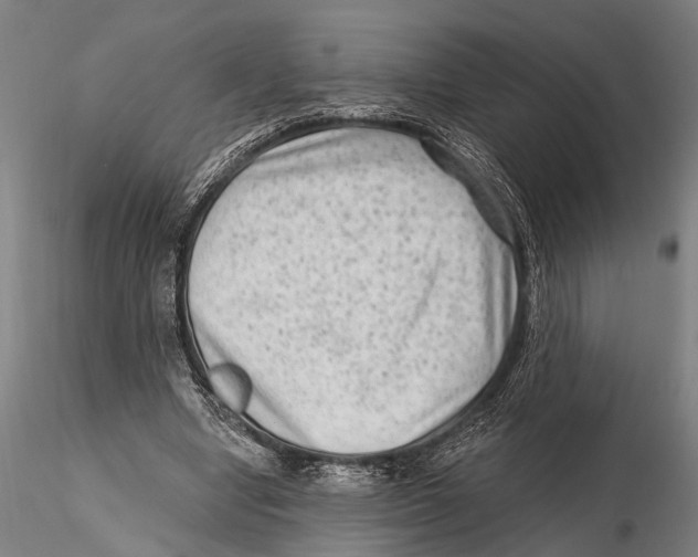 X0000115380442200912011209