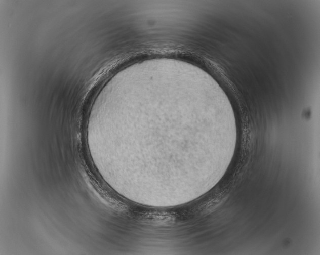 X0000115380443200912011209