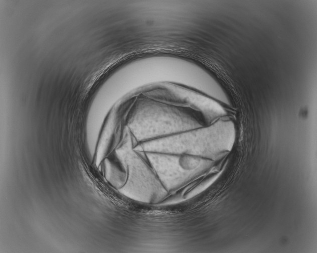 X0000115380444200912011209