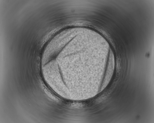 X0000115380445200912011209