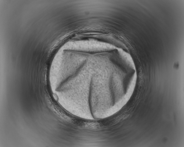 X0000115380446200912011209