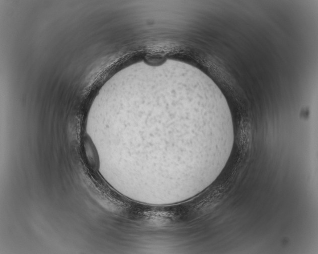 X0000115380448200912011209