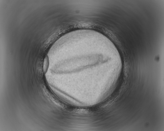 X0000115380449200912011209