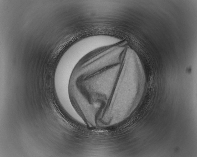 X0000115380452200912011209