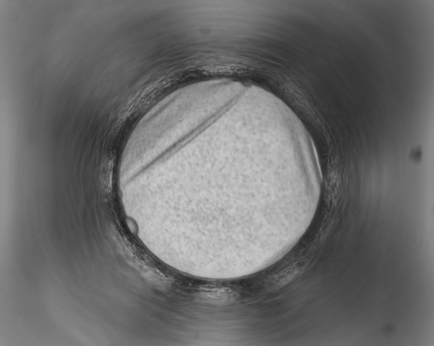 X0000115380454200912011209