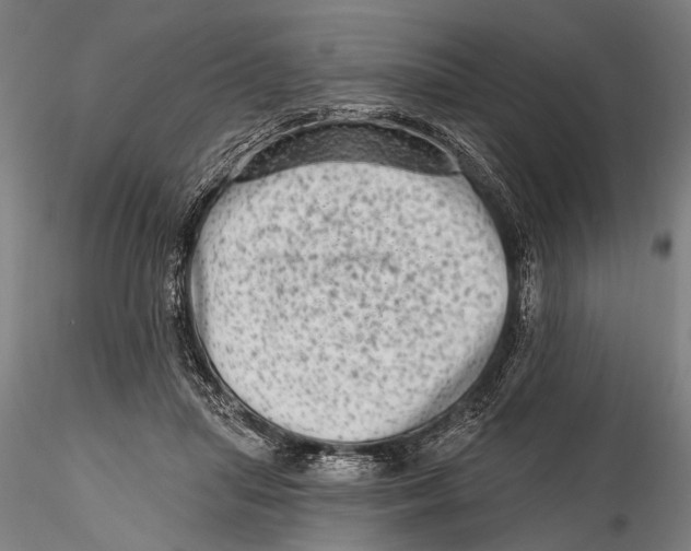 X0000115380455200912011209