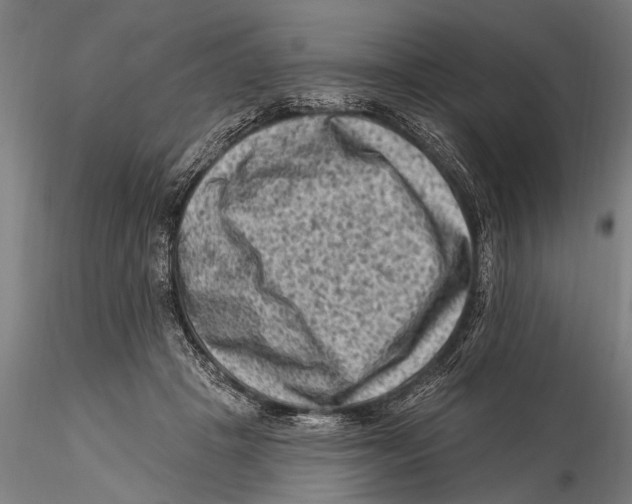 X0000115380457200912011209