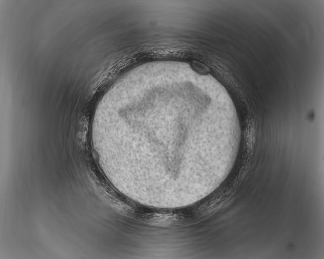 X0000115380458200912011209