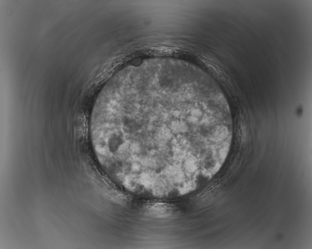 X0000115380467200912011209