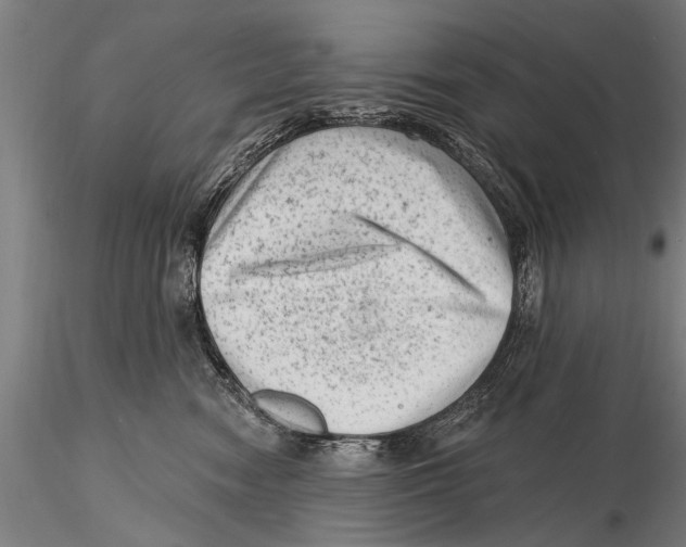 X0000115380474200912011210