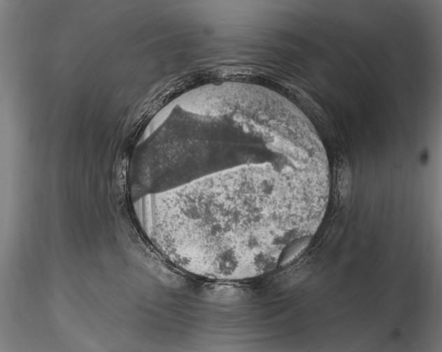 X0000115380475200912011210