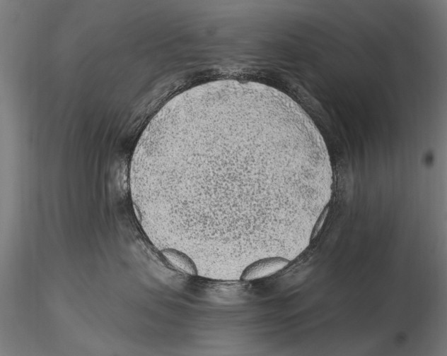 X0000115380479200912011210