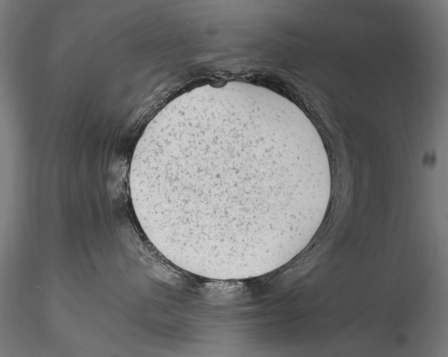 X0000115380480200912011210