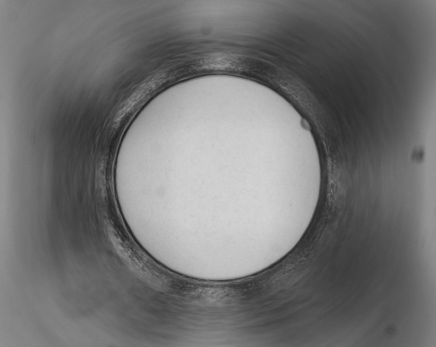 X0000115380482200912011209