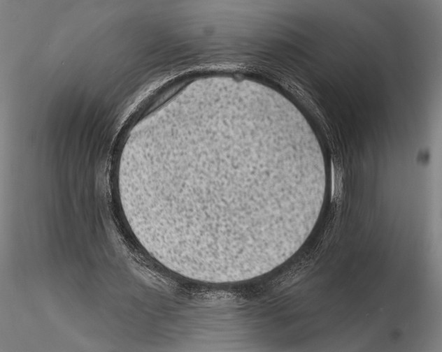 X0000115380483200912011209