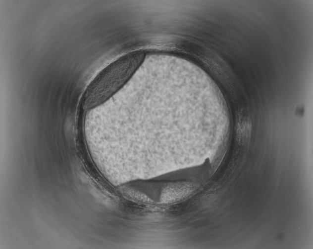 X0000115380484200912011209