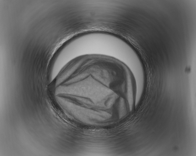 X0000115380488200912011209