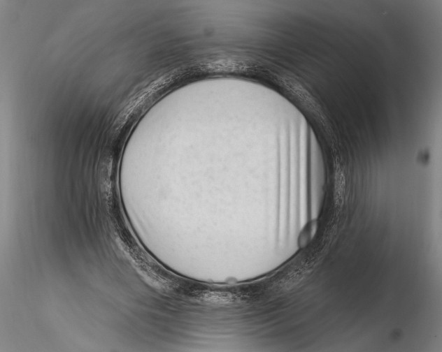 X0000115380490200912011209