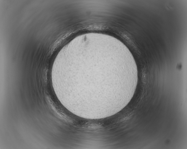 X0000115380491200912011209