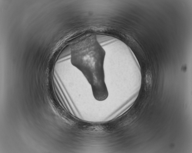 X0000115380492200912011209