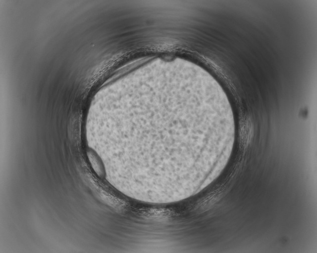 X0000115380493200912011209