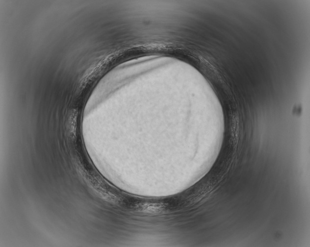 X0000115380495200912011209