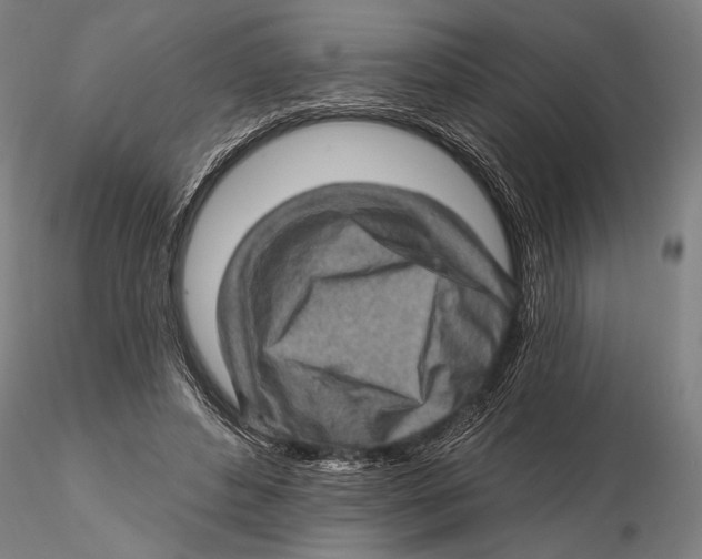 X0000115380496200912011209