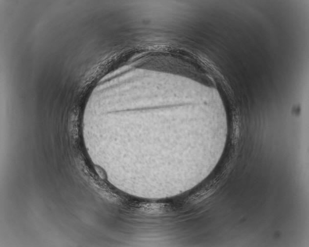 X0000115380497200912011209