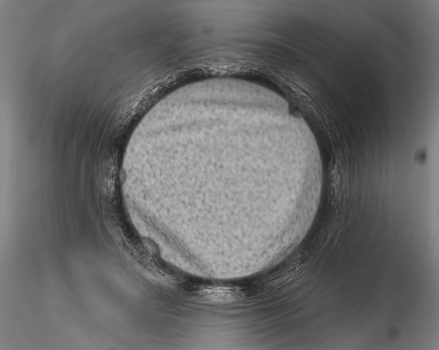 X0000115380499200912011209