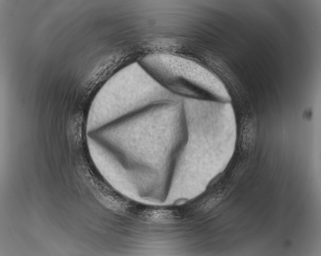 X0000115380501200912011209