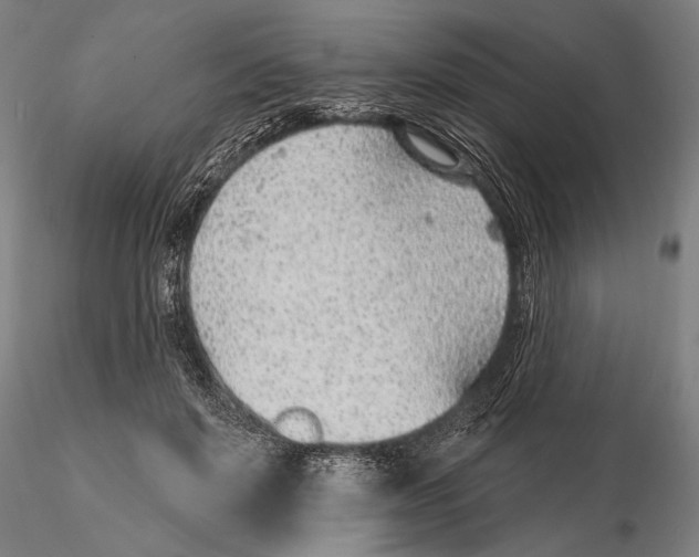 X0000115380503200912011209