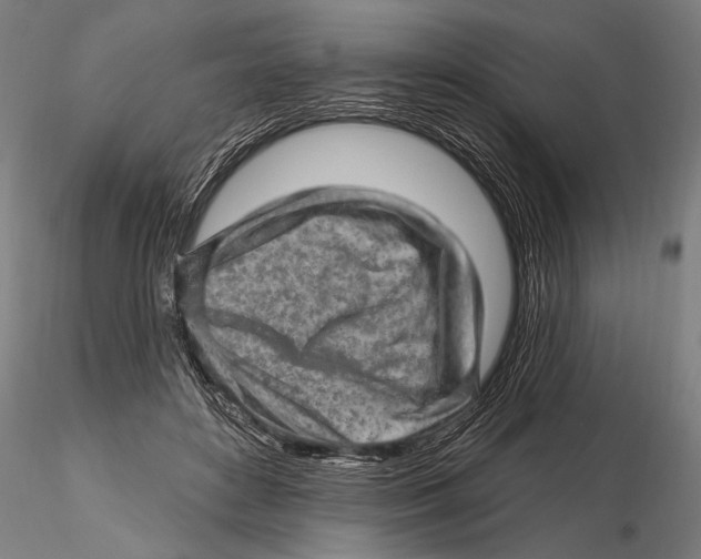 X0000115380504200912011209