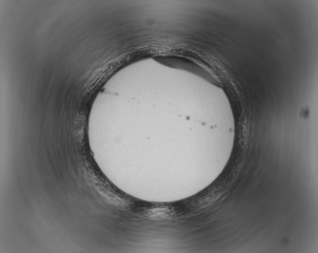 X0000115380505200912011209